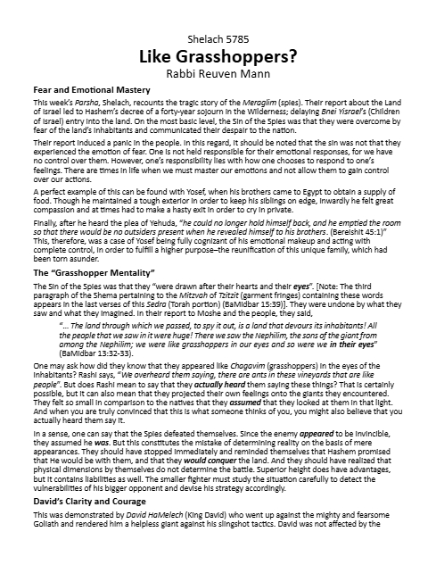 Torah Papers — Parshas Shlach