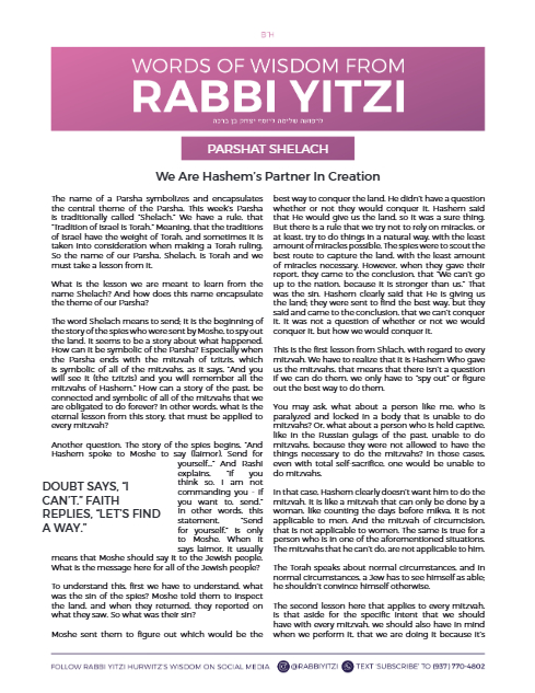 Words of Wisdom from Rabbi Yitzi — Parshas Shlach