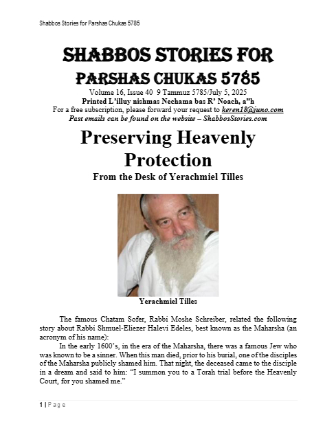 PDF Preview