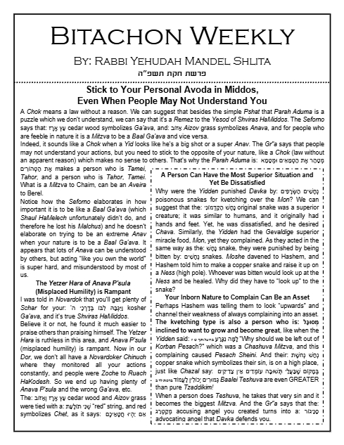 Bitachon Weekly — Parshas Chukas