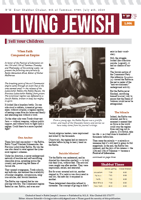 PDF Preview