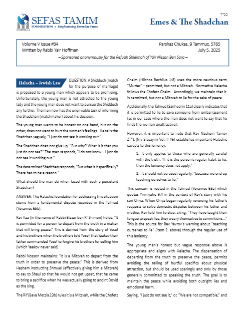 PDF Preview
