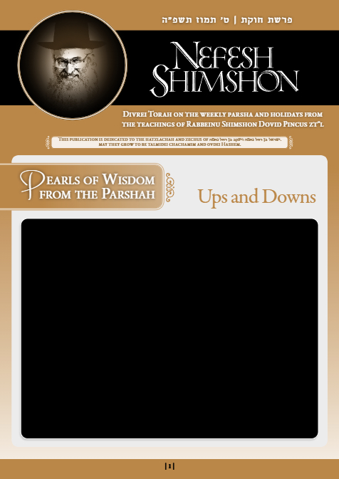 Nefesh Shimshon — Parshas Chukas