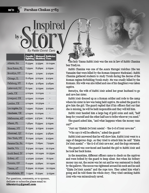 Inspired by a Story — Parshas Chukas