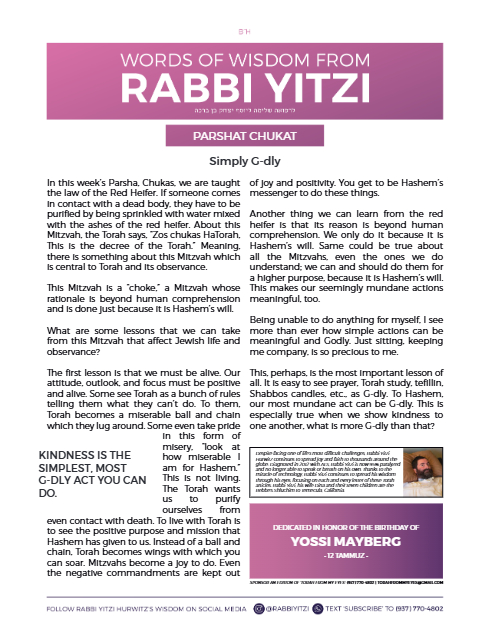 PDF Preview