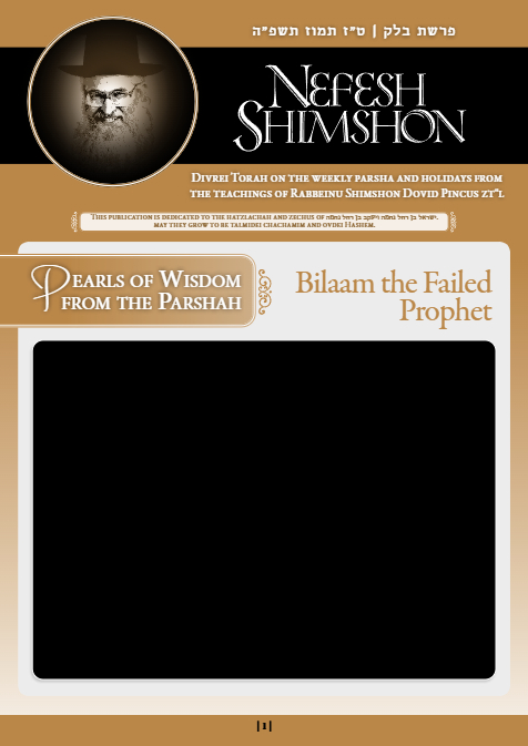 Nefesh Shimshon — Parshas Balak