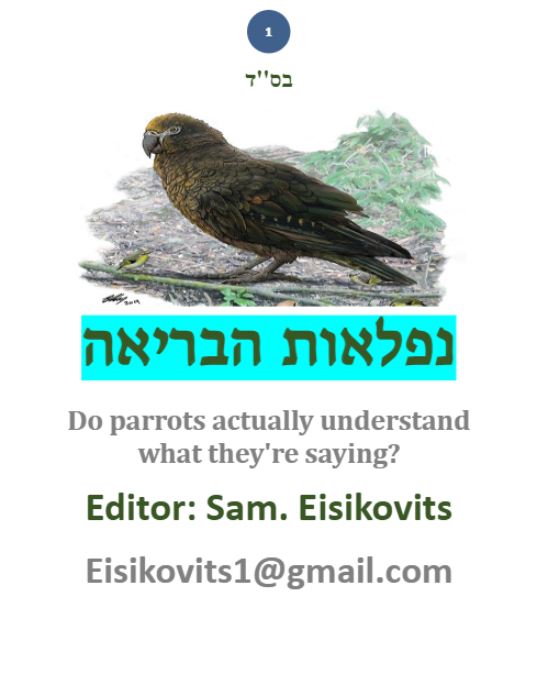 ליקוטי שמואל — Parshas Balak