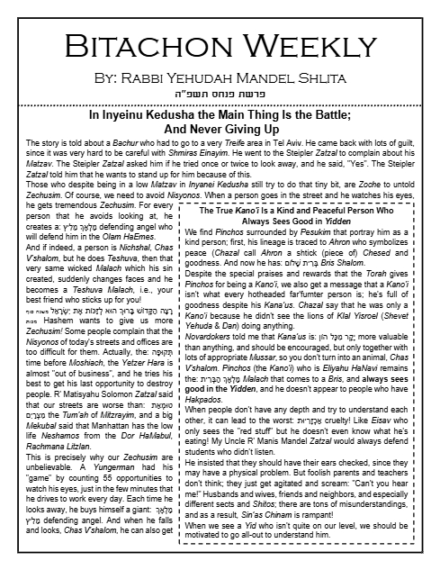 Bitachon Weekly — Parshas Pinchas