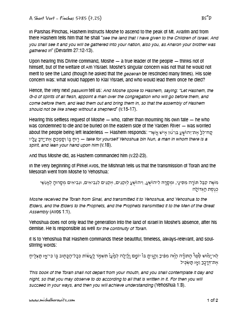 Michal Horowitz - Shiurim & Classes — Parshas Pinchas
