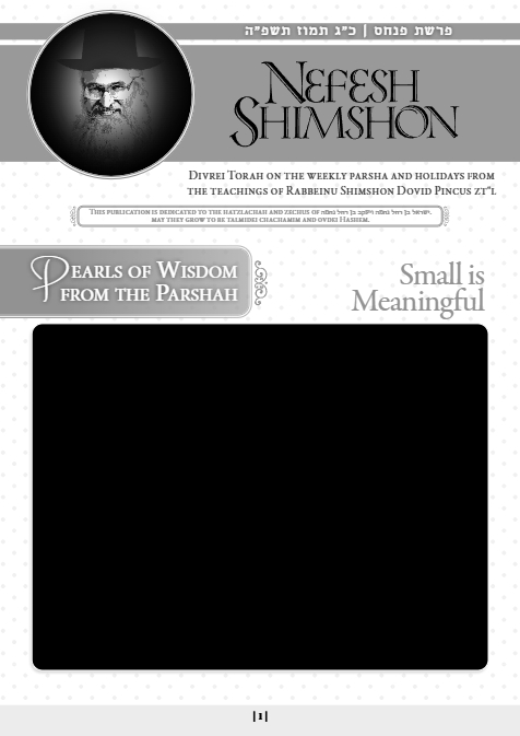 Nefesh Shimshon — Parshas Pinchas