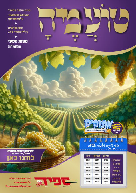 טועמיה — Parshas Matos-Massei