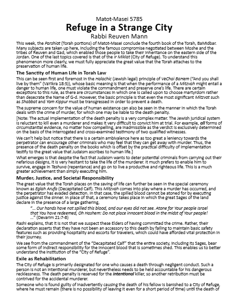 Torah Papers — Parshas Matos-Massei