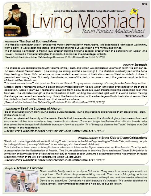 PDF Preview