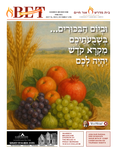 BET Journal — Parshas Pinchas