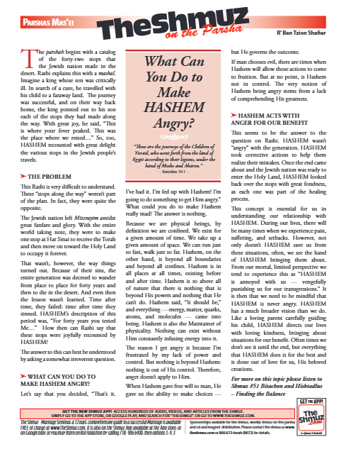 The Shmuz — Parshas Matos-Massei