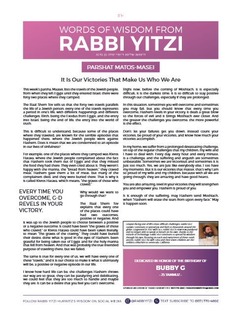 PDF Preview