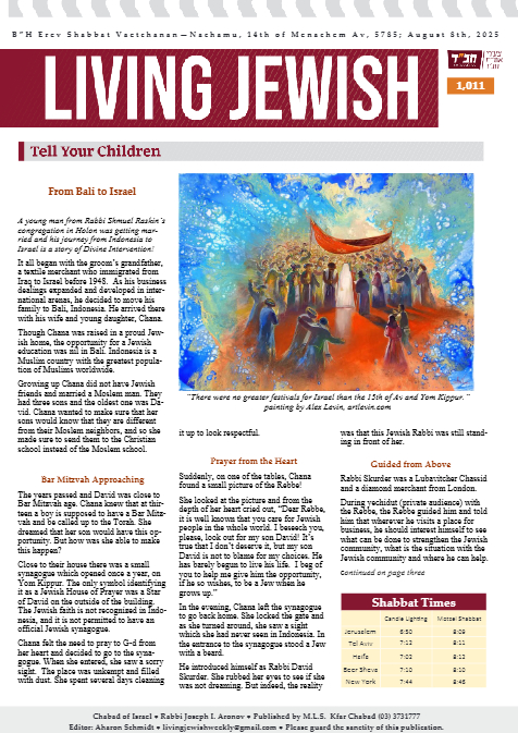 PDF Preview