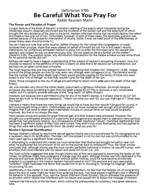 PDF Preview