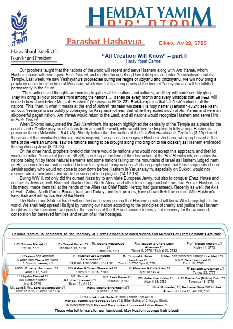 PDF Preview