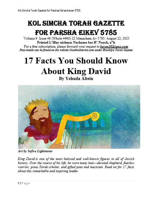 PDF Preview
