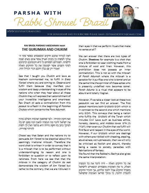 PDF Preview