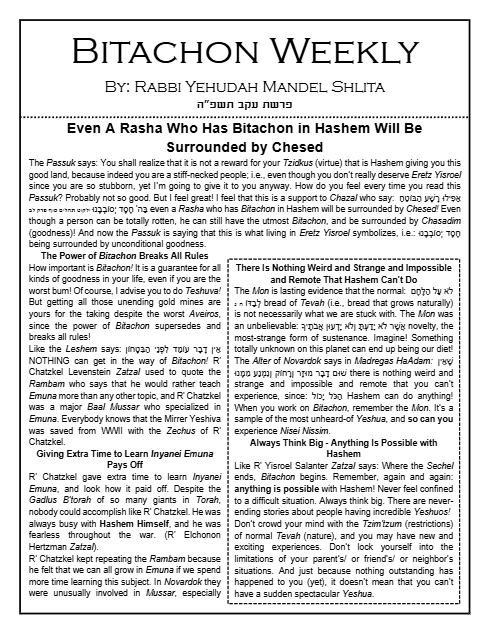 PDF Preview