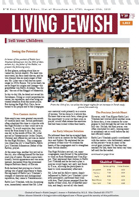 PDF Preview