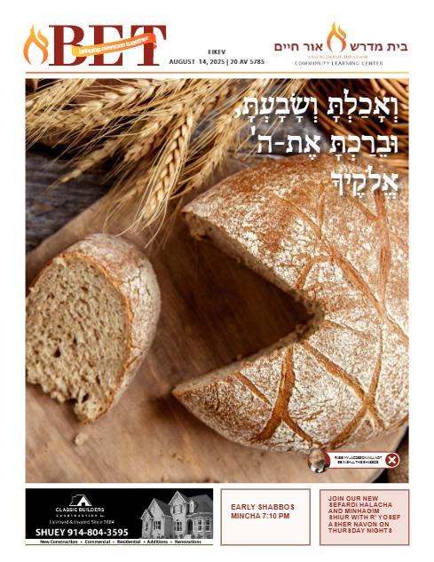 PDF Preview