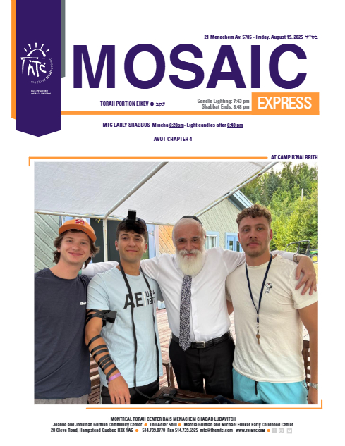 PDF Preview