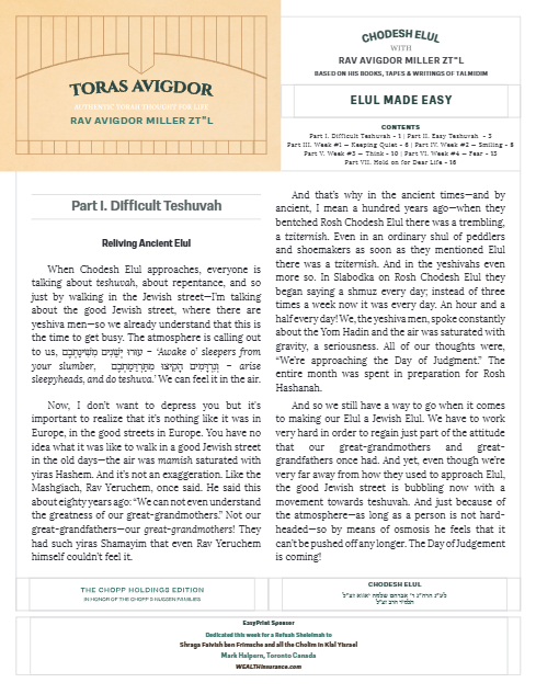 PDF Preview