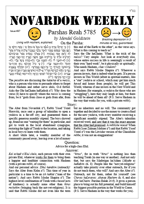 PDF Preview