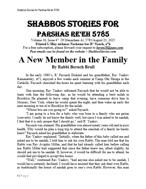 PDF Preview