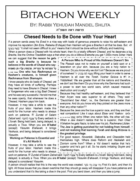 PDF Preview