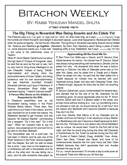 Bitachon Weekly — Parshas Shoftim