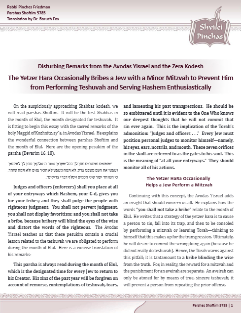 PDF Preview