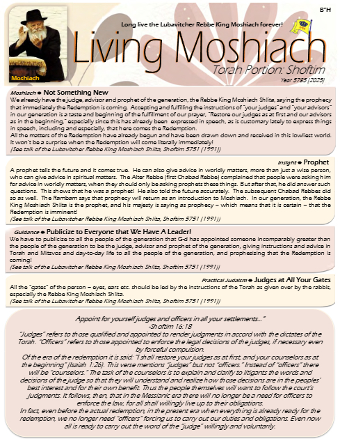 PDF Preview