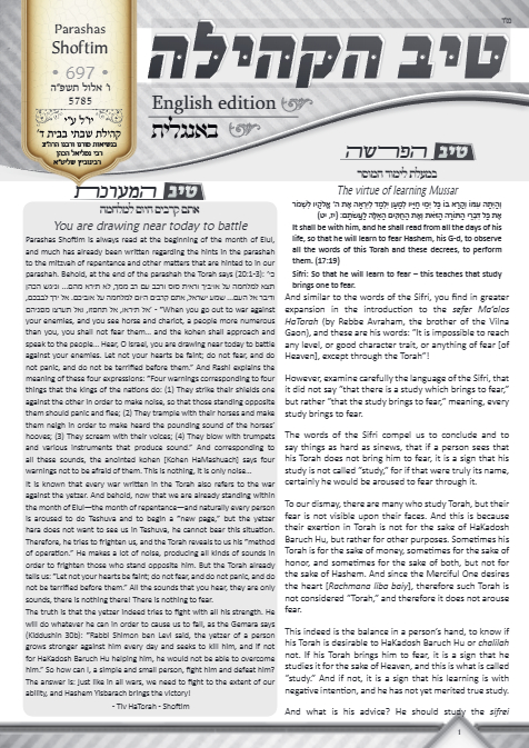 PDF Preview