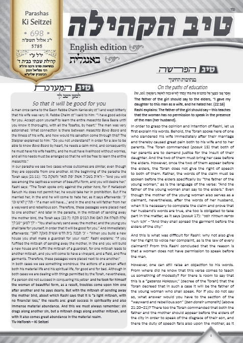 טיב הקהילה English — Parshas Ki Teitzei