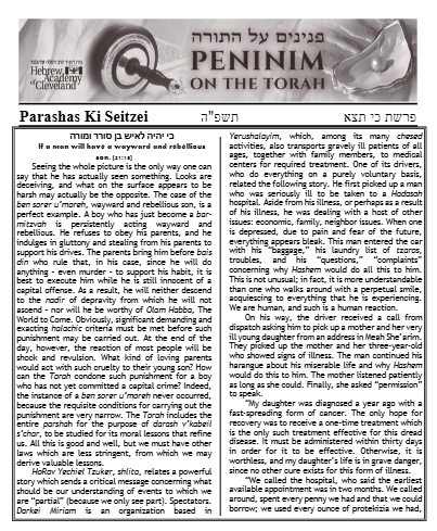Peninim on the Torah — Parshas Ki Teitzei
