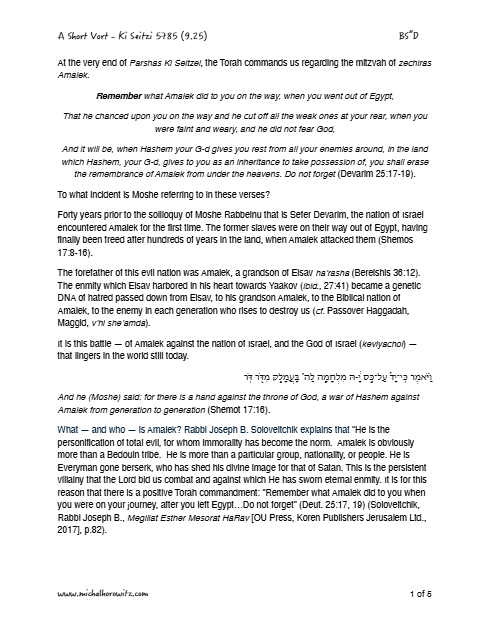 Michal Horowitz - Shiurim & Classes — Parshas Ki Teitzei