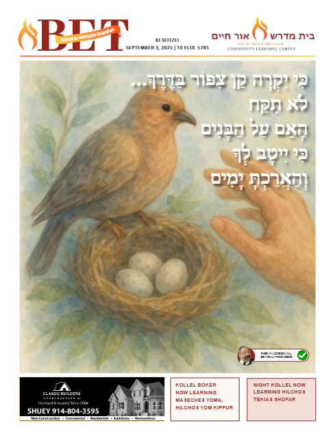 BET Journal — Parshas Ki Teitzei