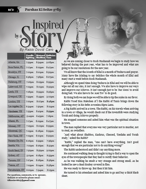 Inspired by a Story — Parshas Ki Teitzei