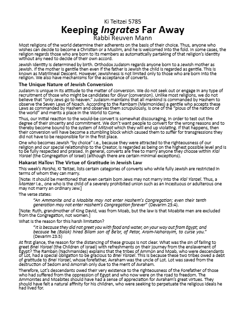 Torah Papers — Parshas Ki Teitzei