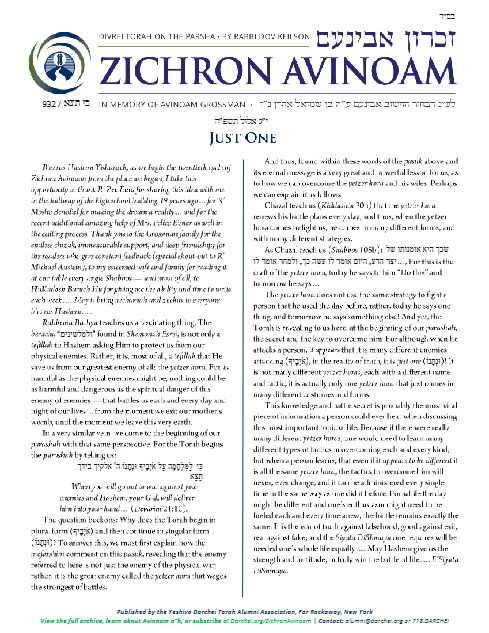 Zichron Avinoam — Parshas Ki Teitzei