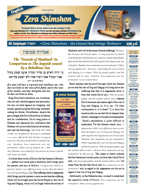 Zera Shimshon — Parshas Ki Teitzei