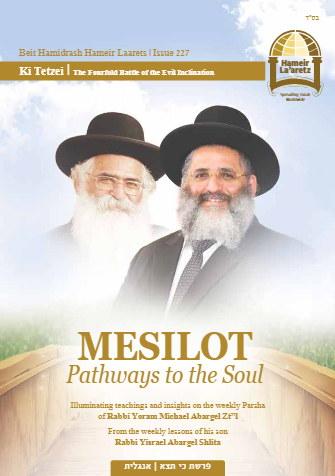 Mesilot — Parshas Ki Teitzei