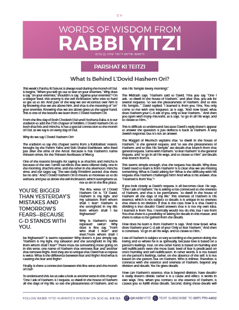 Words of Wisdom from Rabbi Yitzi — Parshas Ki Teitzei