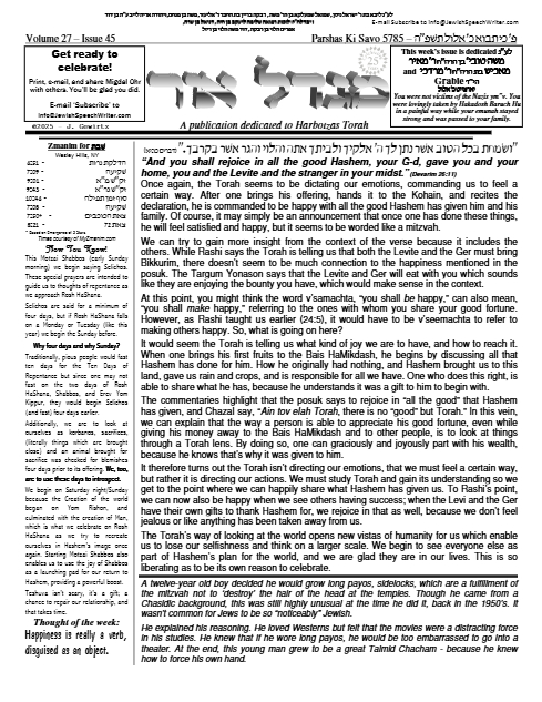 PDF Preview