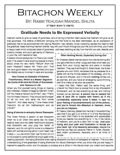 Bitachon Weekly — Parshas Ki Savo