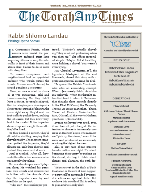 PDF Preview